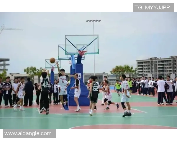 扬篮球精神传承青春力量共筑梦想未来